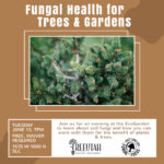 Workshop | Fungal Health for Trees & Gardens