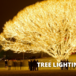 Draper Tree Lighting Ceremony 2023