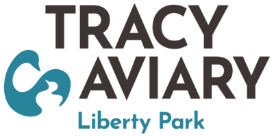 Tracy Aviary at Liberty Park