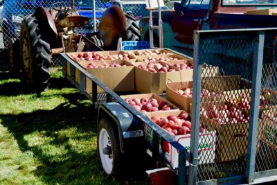 25th Annual New Harmony Apple Festival and Fall Harvest