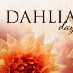 Dahlia Days