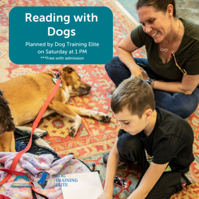 Reading with Dogs with Dog Training Elite