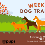 Weekly Dog Training with Pups SLC Training