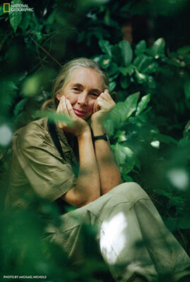 Becoming Jane: The Evolution of Dr. Jane Goodall