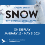 Snow: Tiny Crystals, Global Impact
