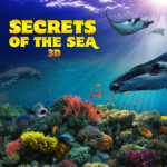 Secrets of the Sea 3D