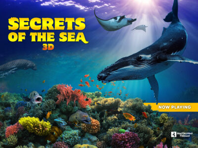 Secrets of the Sea 3D