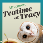 Teatime at Tracy – Afternoon Niceties