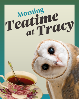 Teatime at Tracy – Sweet Sunrise