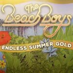 2024 Outdoor Concert Series: The Beach Boys