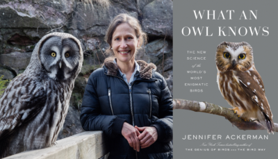 Jennifer Ackerman | What an Owl Knows