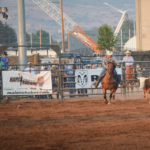 Mountain Valley Stampede Rodeo 2024