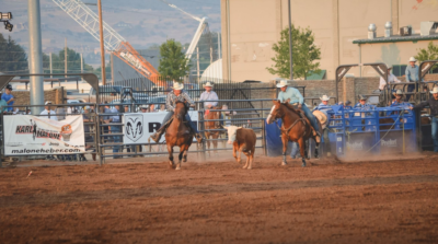 Mountain Valley Stampede Rodeo 2024