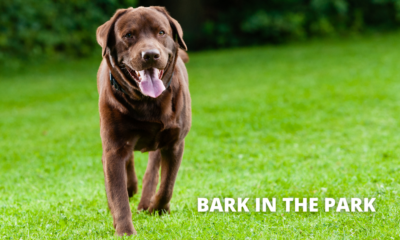 Draper Bark in the Park 2024