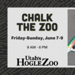 Chalk the Zoo