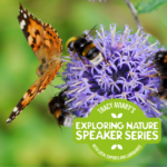 Exploring Nature Speaker Series: Making Friends with Utah Pollinators – Creating a Pollinator Garden