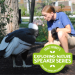 Exploring Nature Speaker Series: The King and I – My 10-Year Relationship with an Andean Condor "Celebirdy"