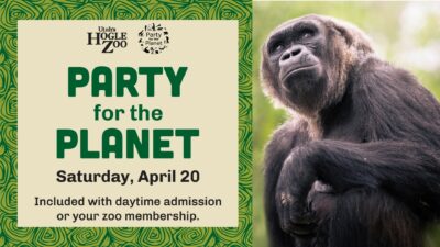 Party for the Planet 2024