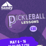 Pickleball Indoor Lessons