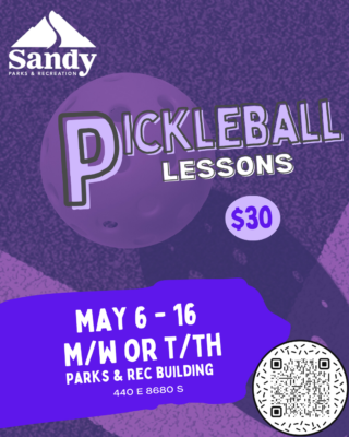 Pickleball Indoor Lessons