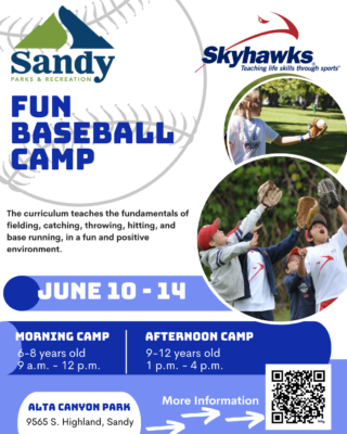 Skyhawks Baseball Camp