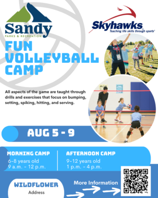 Skyhawks Volleyball Summer Camp