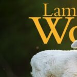 2024 Lamb and Wool Festival