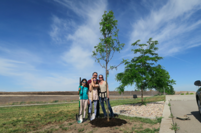 Tree Planting with TreeUtah at Lodestone Park in Kearns