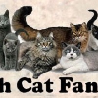 Utah Cat Fanciers
