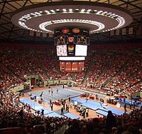 Utah Utes ("Red Rocks") Women's Gymnastics