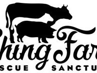 Ching Farm Animal Rescue & Sanctuary