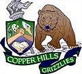 Copper Hills High School